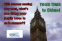Your Time to Chime – Volume 4